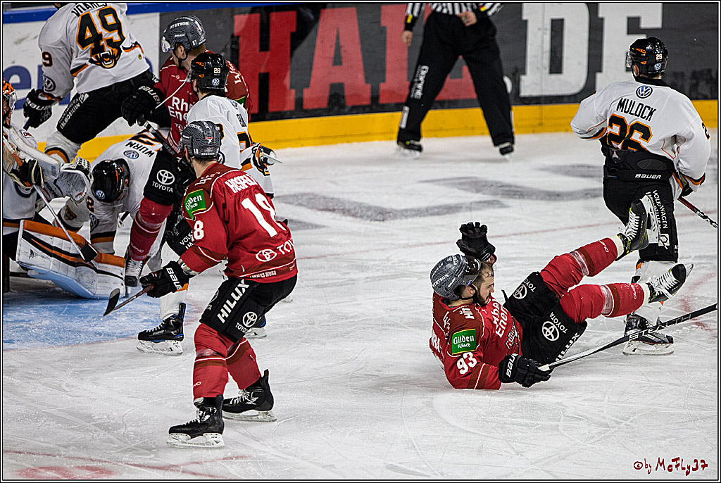 DEL, Koelner Haie - Grizzlys Wolfsburg, 17.03.2017